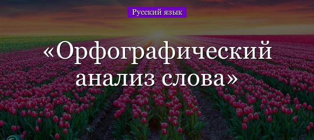 Орфографический анализ слова