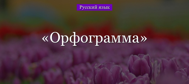 Орфограмма