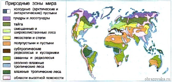 Основные природные зоны