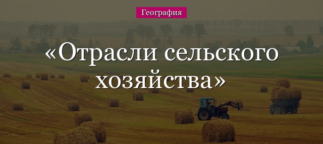 Отрасли сельского хозяйства