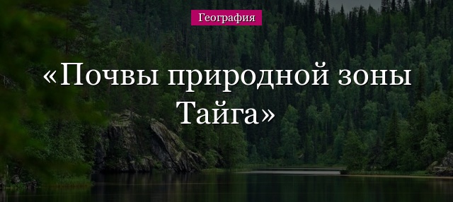 Почвы природной зоны Тайга