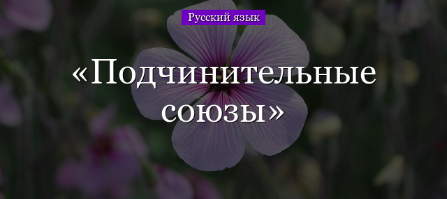 Подчинительные союзы