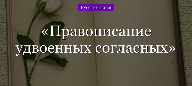 Правописание удвоенных согласных