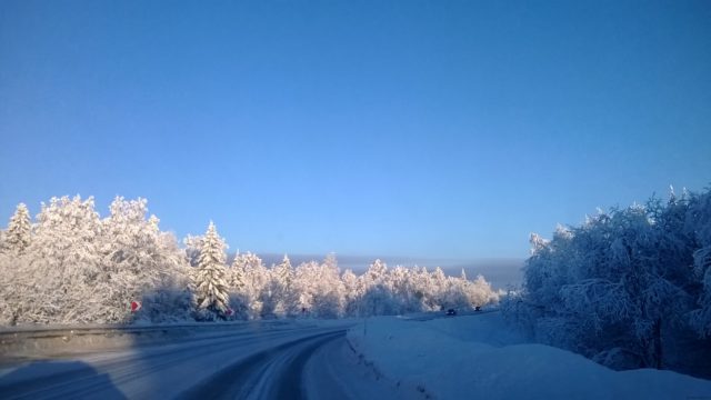 Природная зона Пермского края