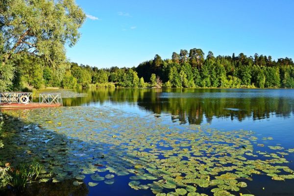 Природная зона Татарстана