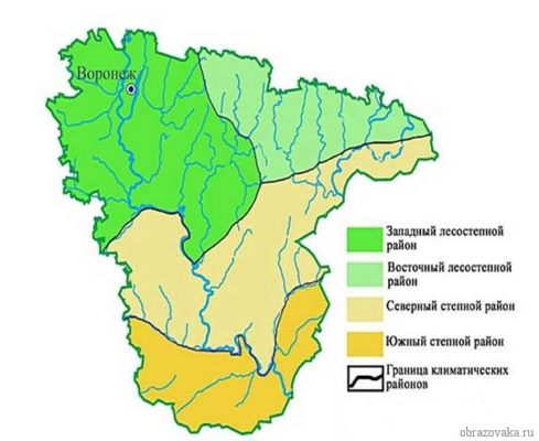 Природная зона Воронежской области