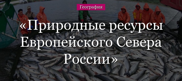 Природные ресурсы Европейского Севера России