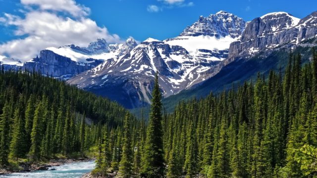 Природные зоны Канады