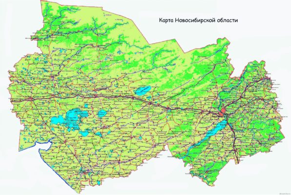 Природные зоны Новосибирской области