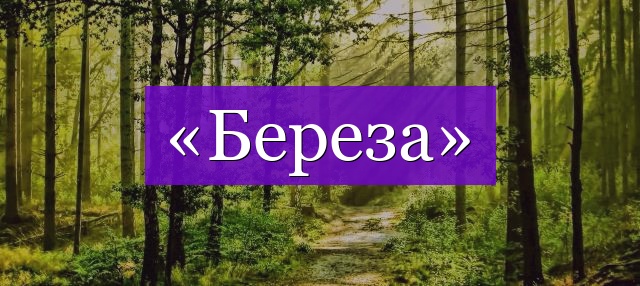 Проверочное слово к слову «береза»