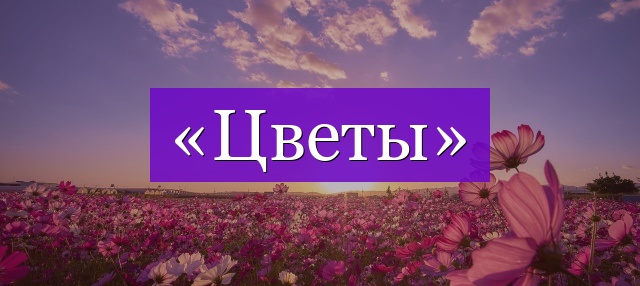 Проверочное слово к слову «цветы»