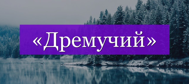 Проверочное слово к слову «дремучий»