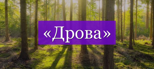 Проверочное слово к слову «дрова»