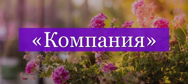 Проверочное слово к слову «компания»