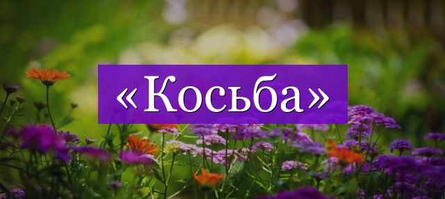 Проверочное слово к слову «косьба»