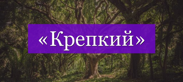 Проверочное слово к слову «крепкий»