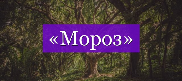 Проверочное слово к слову «мороз»