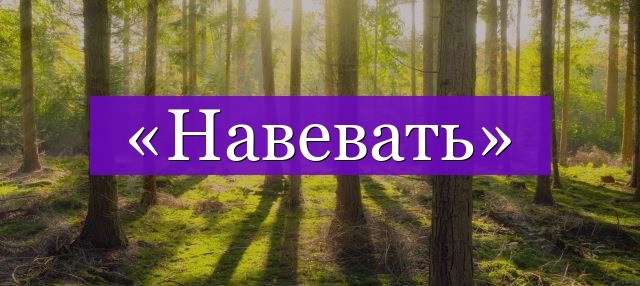 Проверочное слово к слову «навевать»