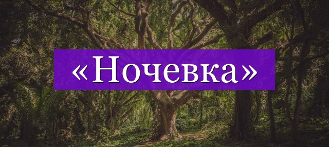 Проверочное слово к слову «ночевка»