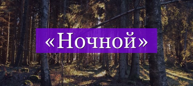 Проверочное слово к слову «ночной»