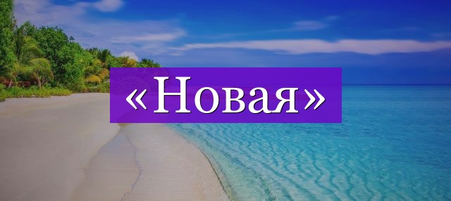 Проверочное слово к слову «новая»