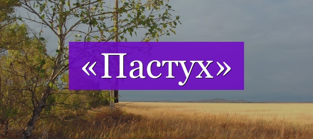 Проверочное слово к слову «пастух»