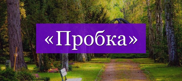 Проверочное слово к слову «пробка»