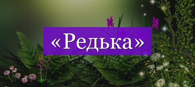 Проверочное слово к слову «редька»