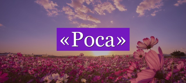 Проверочное слово к слову «роса»