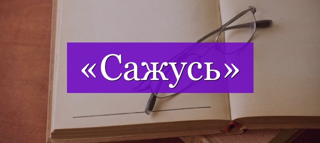 Проверочное слово к слову «сажусь»