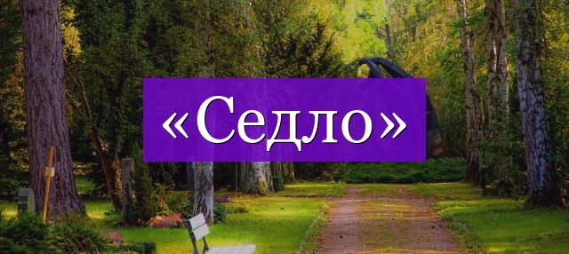 Проверочное слово к слову «седло»