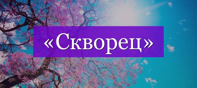 Проверочное слово к слову «скворец»