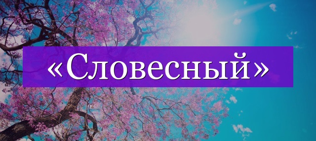 Проверочное слово к слову «словесный»