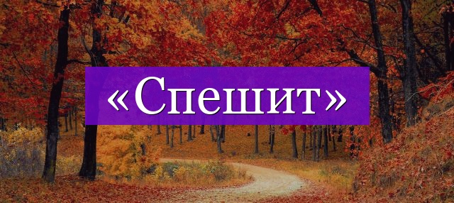 Проверочное слово к слову «спешит»