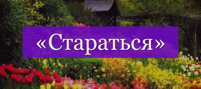 Проверочное слово к слову «стараться»