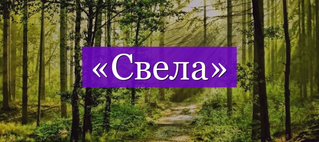 Проверочное слово к слову «свела»