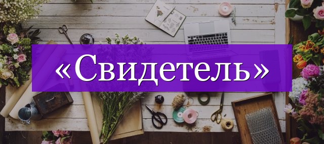 Проверочное слово к слову «свидетель»