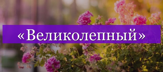 Проверочное слово к слову «великолепный»