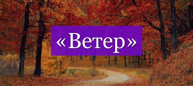 Проверочное слово к слову «ветер»