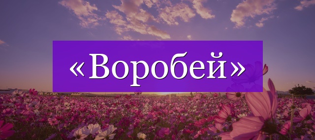 Проверочное слово к слову «воробей»