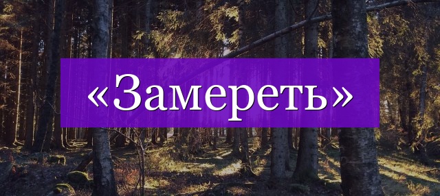 Проверочное слово к слову «замереть»