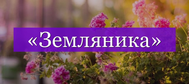 Проверочное слово к слову «земляника»