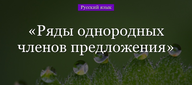 Ряды однородных членов предложения