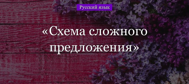 Схема сложного предложения