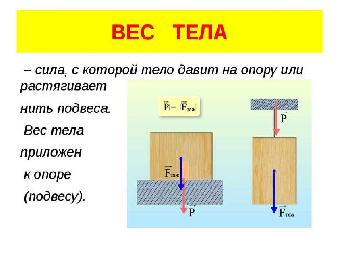 Сила тяжести и вес тела