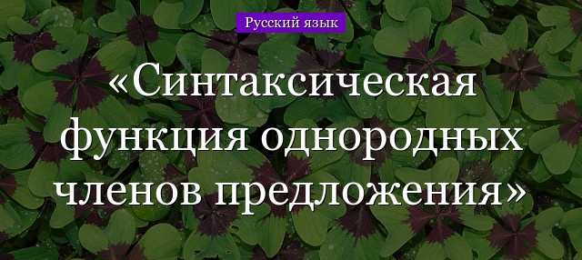 Синтаксическая функция однородных членов предложения