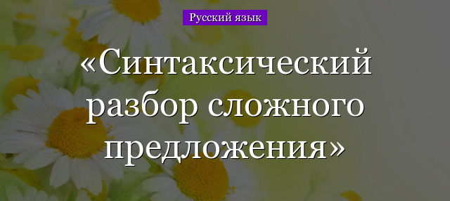 Синтаксический разбор сложного предложения