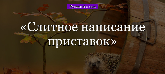 Слитное написание приставок