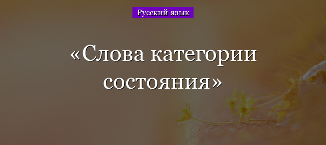 Слова категории состояния