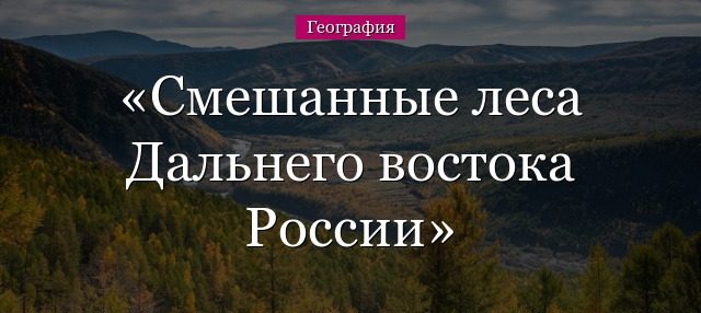 Смешанные леса Дальнего востока России